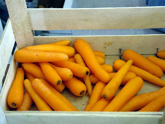 Photo of carrots