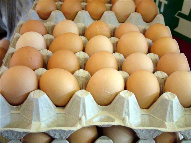 Photo of eggs